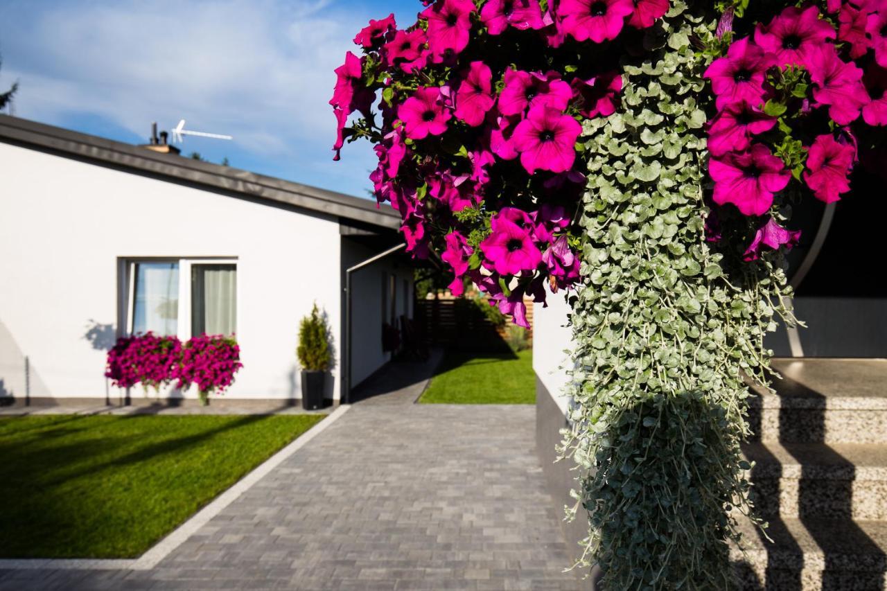 Apartament Asnyka Zamosc  Exterior photo