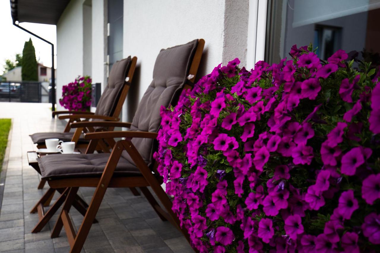 Apartament Asnyka Zamosc  Exterior photo